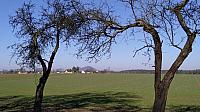 Plužná