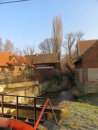 Třibřichy