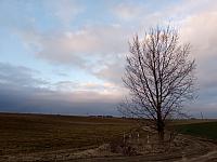 Lukovany