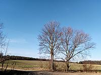 Lukovany