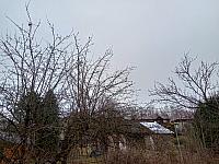 Olešná