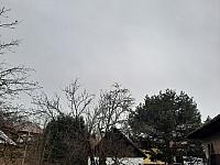 Olešná