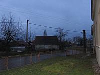 Třibřichy