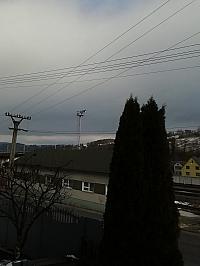 Skalité
