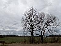 Lukovany