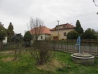 Třibřichy
