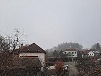 Olešná