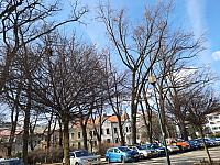 Jihlava
