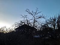 Olešná