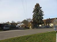 Třibřichy