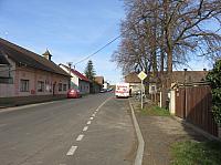 Třibřichy