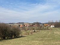 Holice