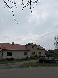Třibřichy