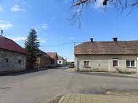 Třibřichy