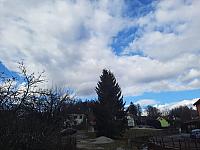Olešná