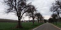 Lukovany