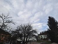 Olešná