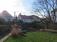 Třibřichy