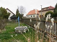 Třibřichy