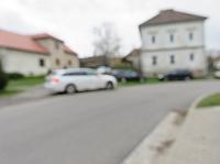 Třibřichy