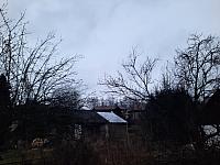 Olešná