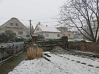 Třibřichy