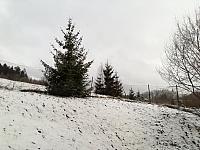 Skalité