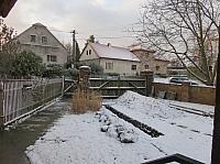 Třibřichy