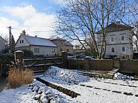Třibřichy