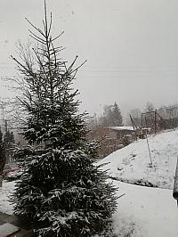 Skalité
