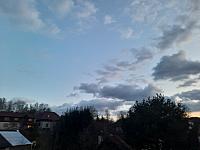 Olešná