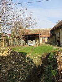 Třibřichy