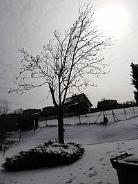 Skalité