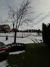 Skalité
