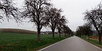 Lukovany