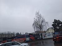 Jihlava