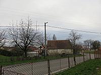 Třibřichy