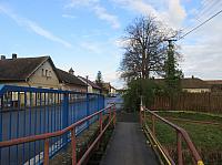 Třibřichy