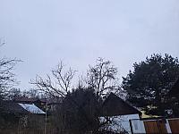 Olešná