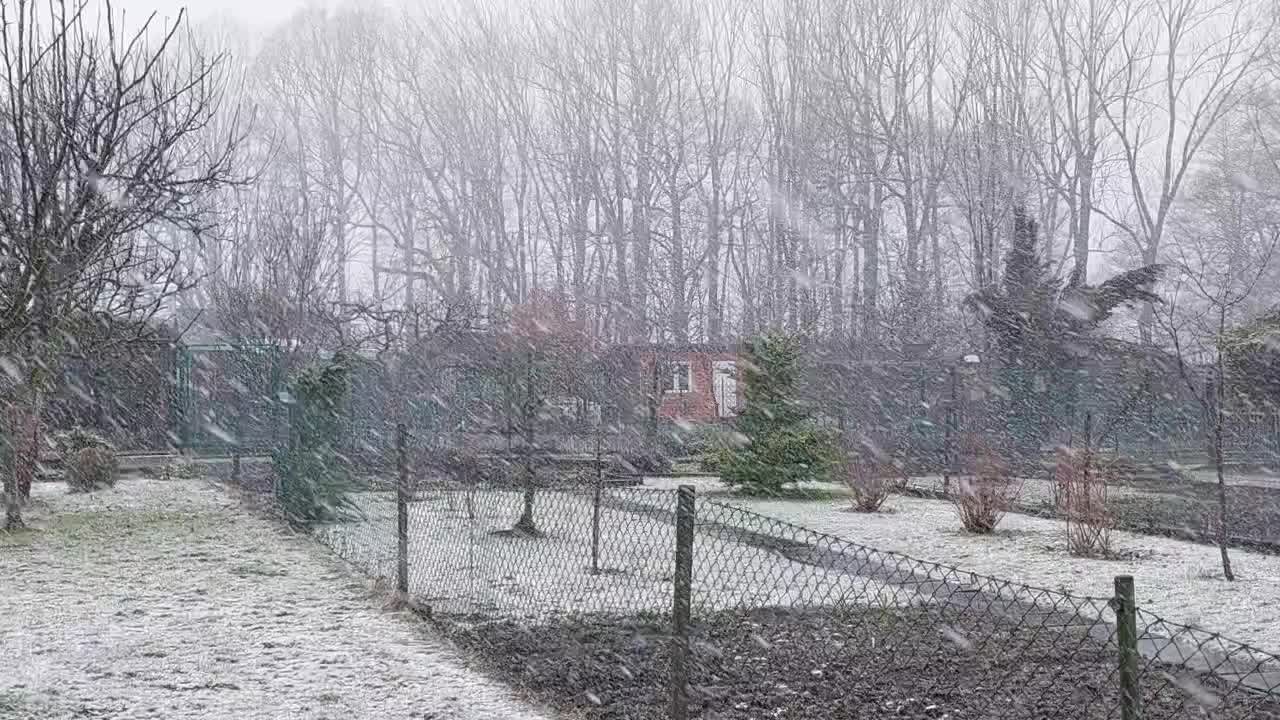 Český Těšín