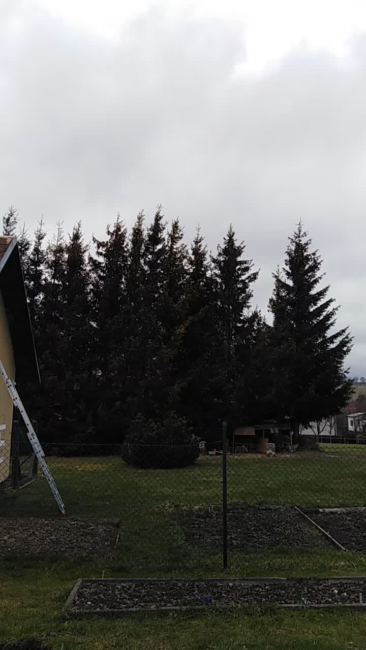 Světlá  Hora