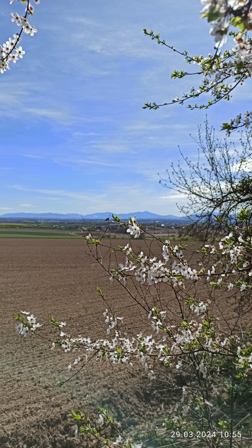 Ostrava-Poruba
