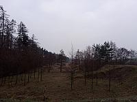 Lukovany