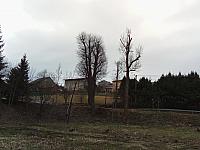 Skalité