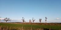 Lukovany