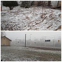 Zwardoň