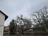 Olešná