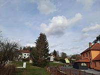 Olešná