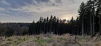 Mohelnice