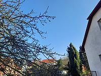Olešná